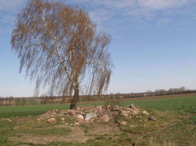 Medieval burial ground in Twarogi Lackie